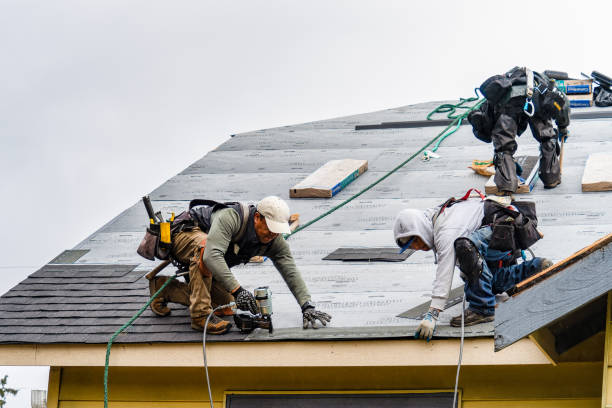 Professional Storm Damage Roof Repair technician working in Grover, CO